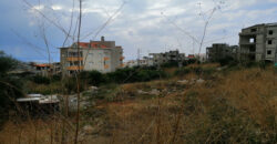 Land for Sale Aamchit Jbeil Area 1003Sqm