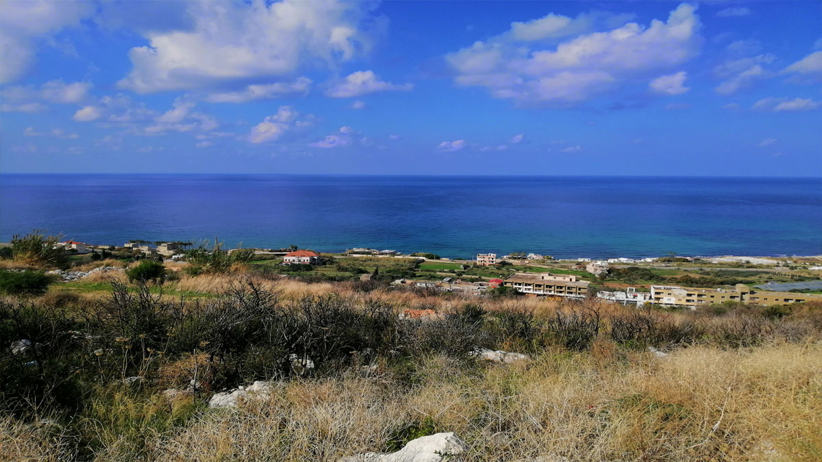 Land for Sale Kfar Aabida Batroun Area 1781Sqm