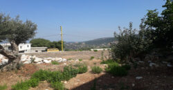 Old House for Sale Kharbeh Jbeil Housing Area 470Sqm and 2 Old Cellars Land Area 1205Sqm
