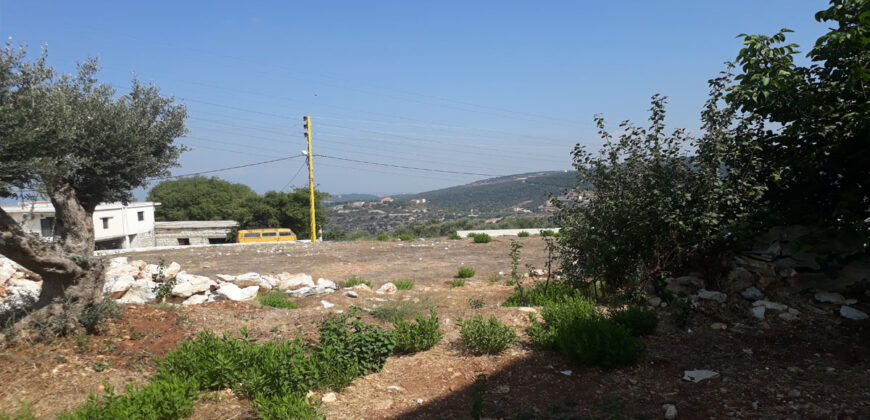 Old House for Sale Kharbeh Jbeil Housing Area 470Sqm and 2 Old Cellars Land Area 1205Sqm