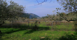 Land for sale Ain kfaa Jbeil Area 6400Sqm