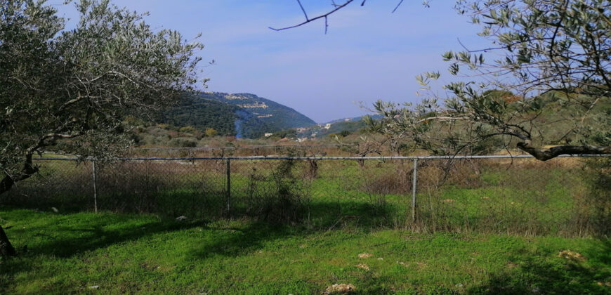 Land for sale Ain kfaa Jbeil Area 6400Sqm