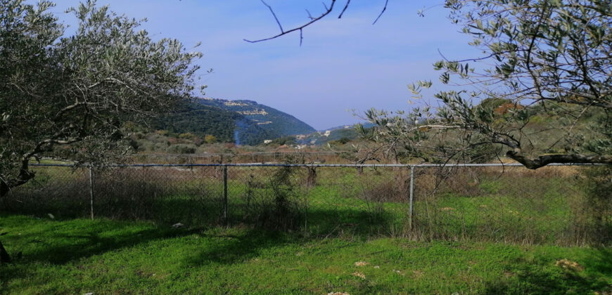 Land for sale Ain kfaa Jbeil Area 6400Sqm