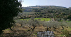 Land for sale Ain kfaa Jbeil Area 6400Sqm