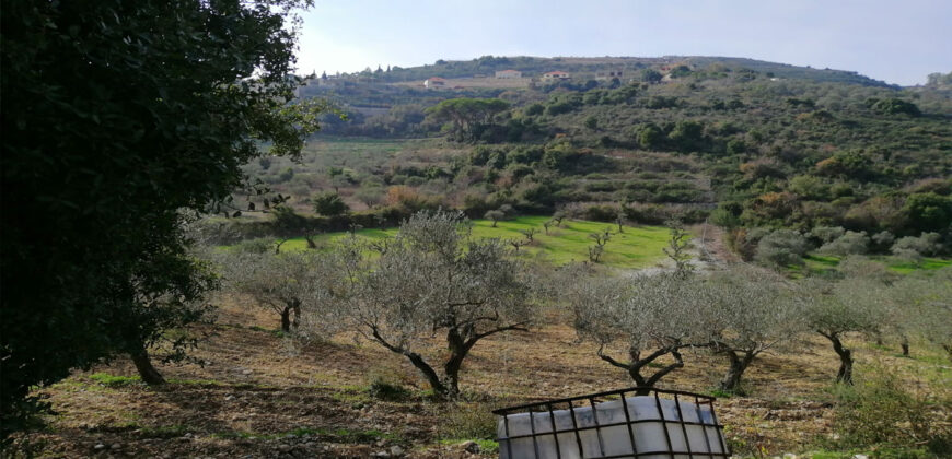 Land for sale Ain kfaa Jbeil Area 6400Sqm