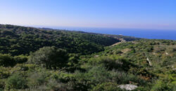 Land for Sale Berbara Jbeil Area 1378Sqm