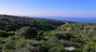 Land for Sale Berbara Jbeil Area 1378Sqm