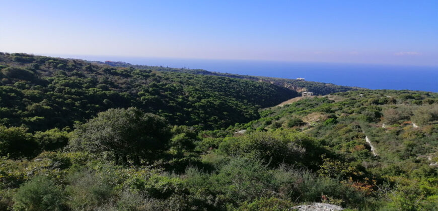 Land for Sale Berbara Jbeil Area 1378Sqm