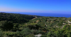 Land for Sale Berbara Jbeil Area 1378Sqm
