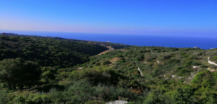 Land for Sale Berbara Jbeil Area 1378Sqm