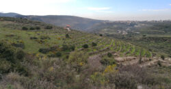 Land for Sale Bziza Koura Area 11000Sqm