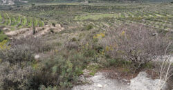 Land for Sale Bziza Koura Area 11000Sqm