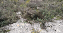 Land for Sale Bziza Koura Area 11000Sqm