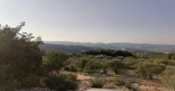 Land for Sale Kfar Chlaiman Batroun Area 1390Sqm