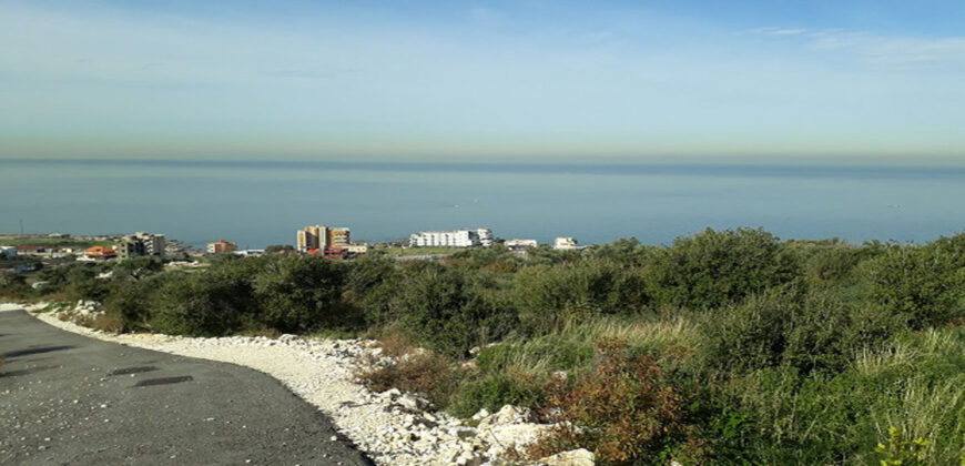 Land for Sale Monsef Jbeil Area 2407Sqm