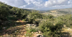 Land for Sale Aassia Batroun Area 13178Sqm