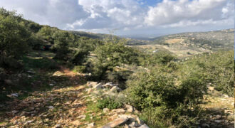 Land for Sale Aassia Batroun Area 13178Sqm