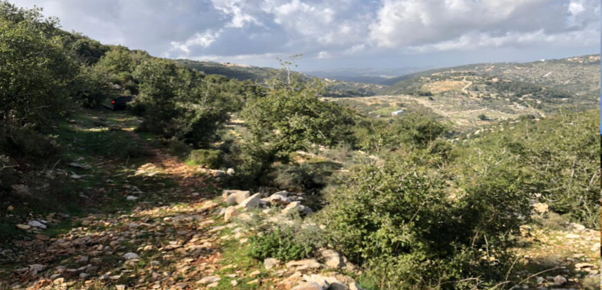 Land for Sale Aassia Batroun Area 13178Sqm