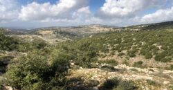 Land for Sale Aassia Batroun Area 13178Sqm
