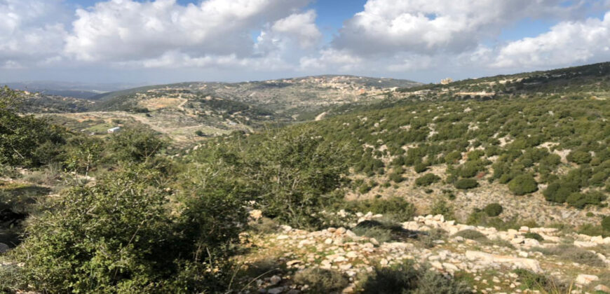 Land for Sale Aassia Batroun Area 13178Sqm