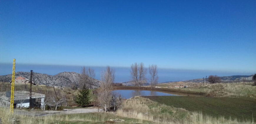 Land for Sale Tannourine – Faouqa ( Laqlouq ) Batroun Area 1980Sqm