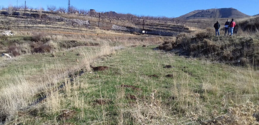 Land for Sale Tannourine – Faouqa ( Laqlouq ) Batroun Area 1180Sqm