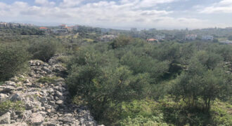 Land for Sale Monsef Jbeil Area 836Sqm