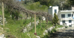 House for Sale Kfour Kesserwan Housing Area 300Sqm Area Land 800Sqm