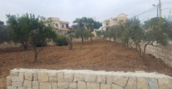 House for Sale Bejdarfil Batroun Housing Area 315Sqm Area Land 1286Sqm