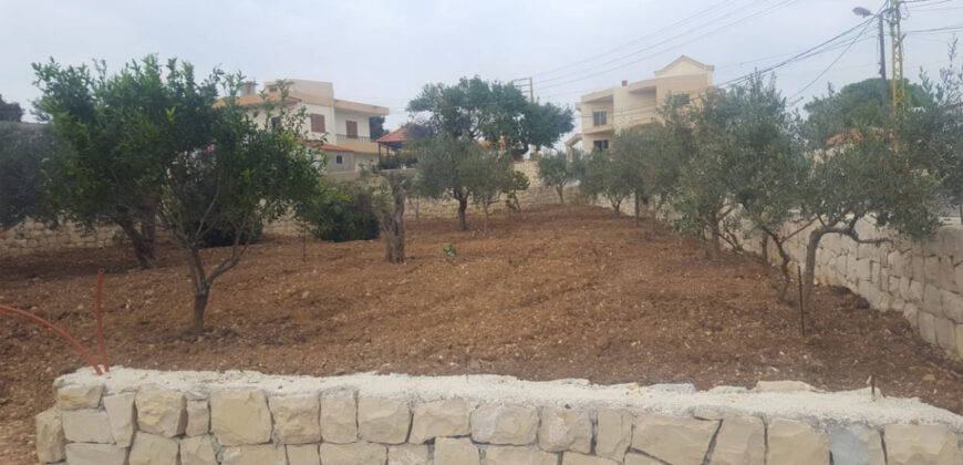 House for Sale Bejdarfil Batroun Housing Area 315Sqm Area Land 1286Sqm