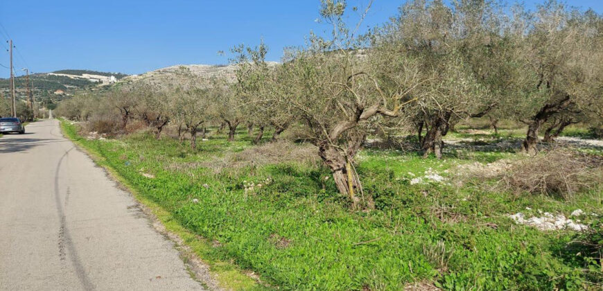 Land for Sale Ain Kfaa Jbeil Area 1300Sqm