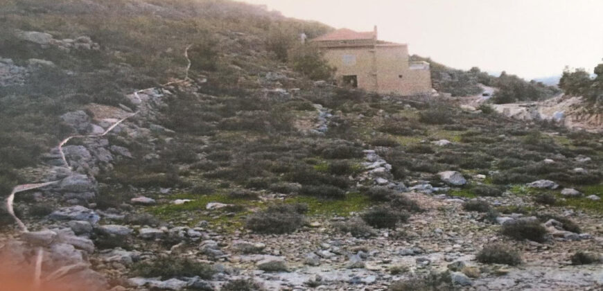 Land for Sale Lehfed Jbeil Area 930Sqm