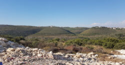 Land for Sale Boqsmaiyya Batroun Area 1893Sqm