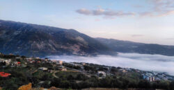 Land for Sale Mechan Jbeil Area 9244Sqm