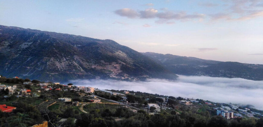 Land for Sale Mechan Jbeil Area 9244Sqm