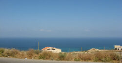 Land for Sale Edde Batroun Area 1160Sqm