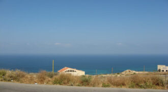Land for Sale Edde Batroun Area 1160Sqm