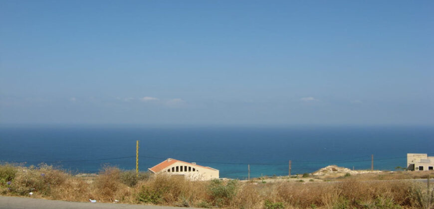 Land for Sale Edde Batroun Area 1160Sqm