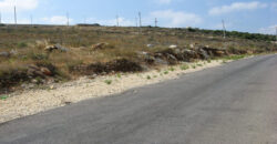 Land for Sale Edde Batroun Area 1160Sqm