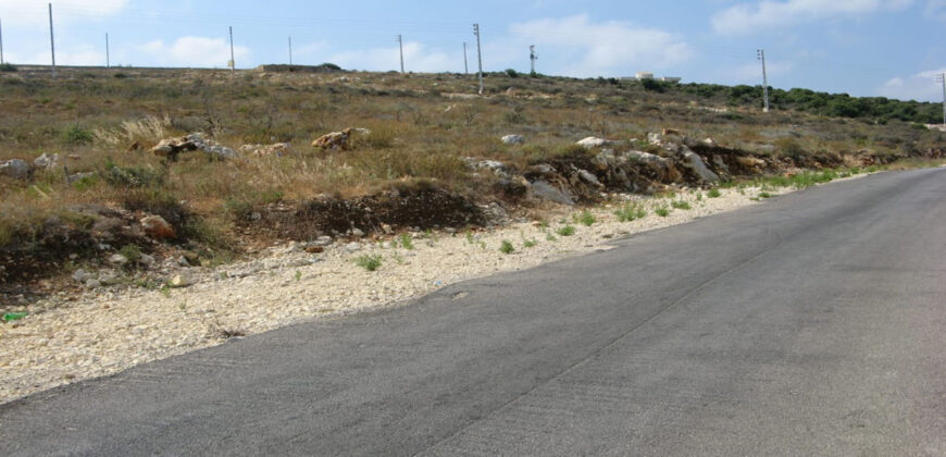 Land for Sale Edde Batroun Area 1160Sqm
