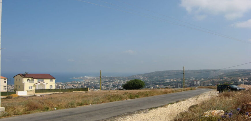 Land for Sale Edde Batroun Area 1160Sqm
