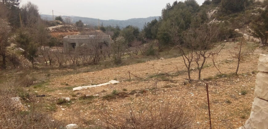 Land for Sale Lehfed Jbeil Area 2400Sqm