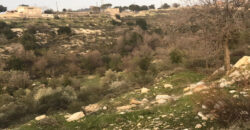Land for Sale Mechmech Jbeil Area 1122Sqm