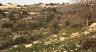 Land for Sale Mechmech Jbeil Area 1122Sqm