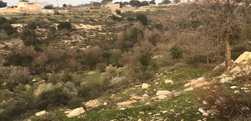 Land for Sale Mechmech Jbeil Area 1122Sqm