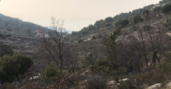 Land for Sale Mechmech Jbeil Area 1122Sqm