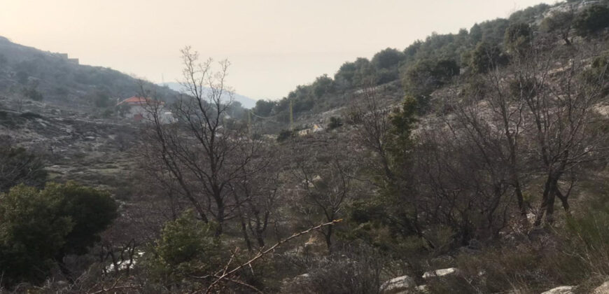 Land for Sale Mechmech Jbeil Area 1122Sqm