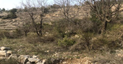 Land for Sale Mechmech Jbeil Area 1122Sqm