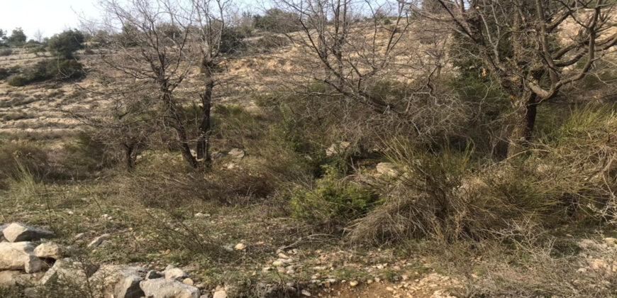 Land for Sale Mechmech Jbeil Area 1122Sqm