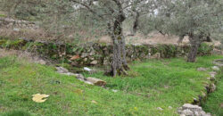 Land for Sale Douma Batroun Area 5294Sqm